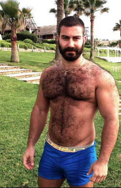 hairyonholiday:  For MORE HOT HAIRY guys-Check out my OTHER Tumblr page:http://www.http://yummyhairydudes.tumblr.com/