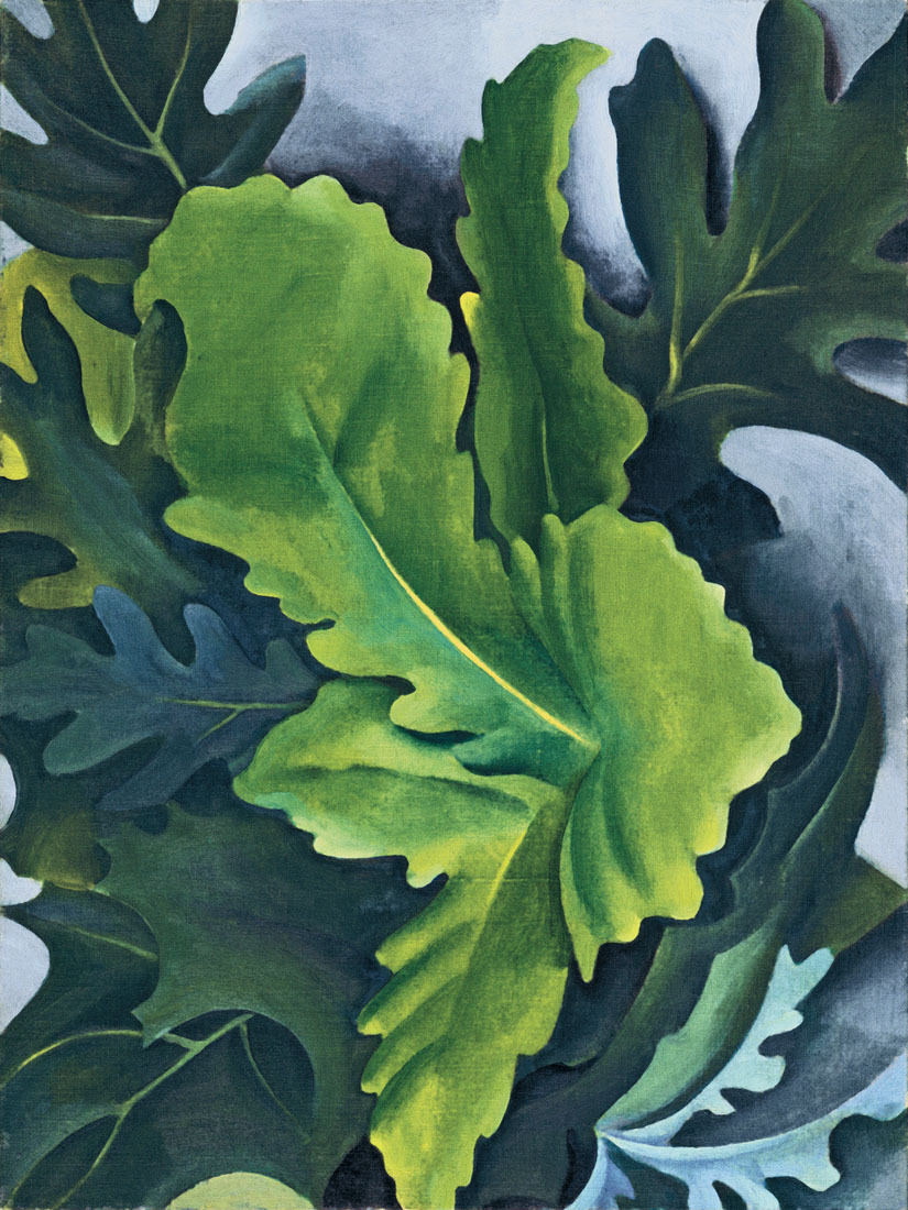 fernsandmoss:  Georgia O’Keeffe, Green Oak Leaves, 1923.