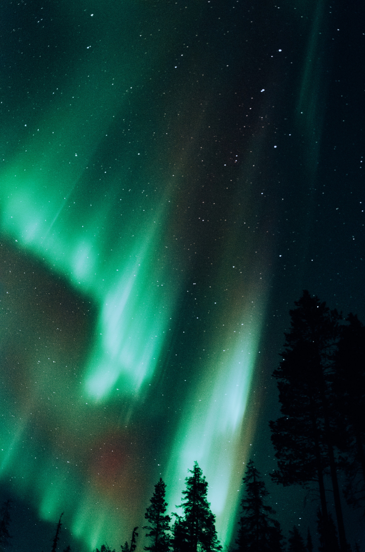 magicalnaturetour:   	Untitled by Lucas Marcomini    	Via Flickr: 	Northern Lights