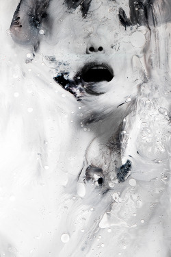 f-l-e-u-r-d-e-l-y-s:   by Januz Miralles    