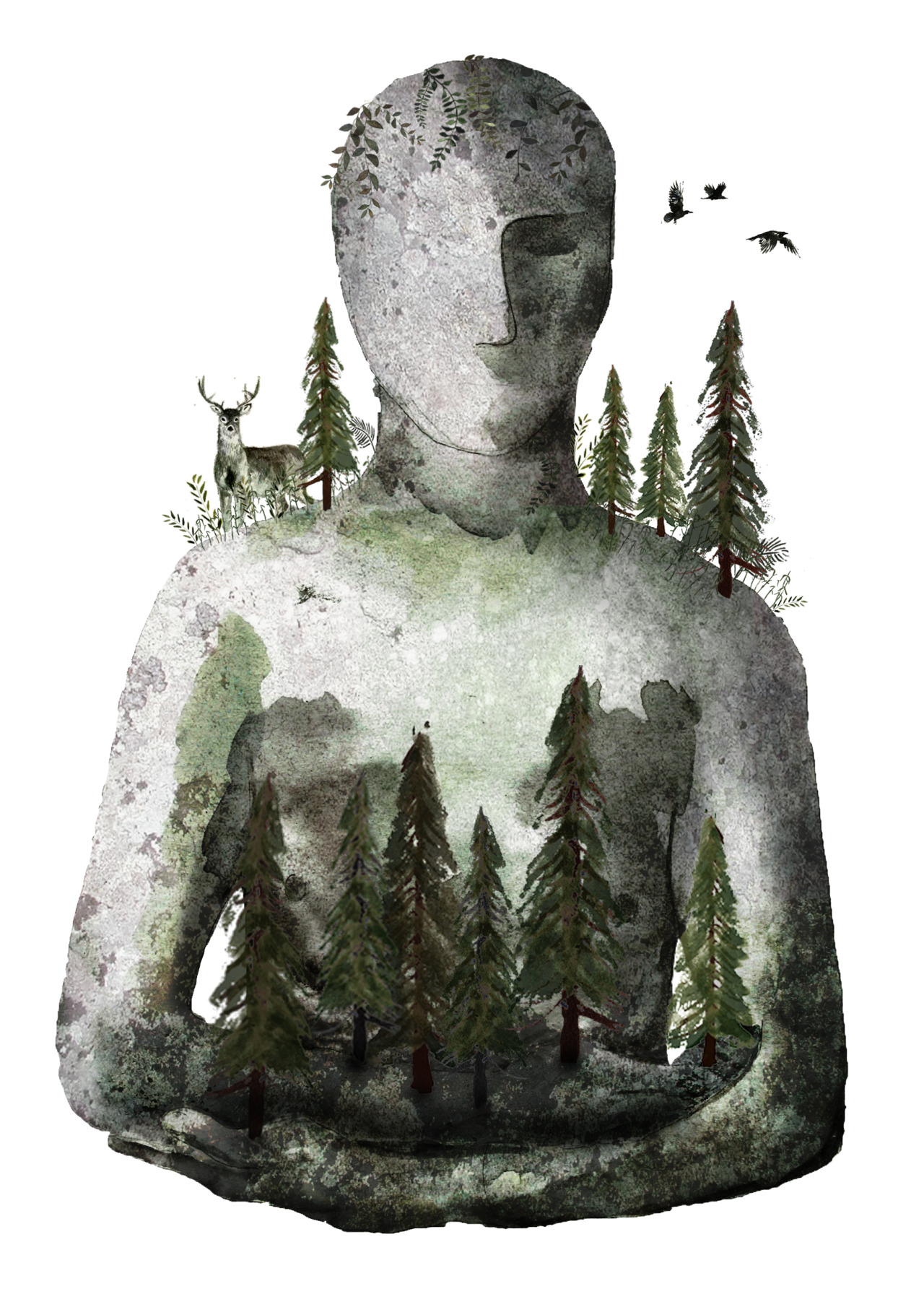 A Nature Blog