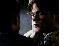 supernatural meme | seven relationships [2/7]↳Sam & Dean“Maybe we are each others Achilles Heel.