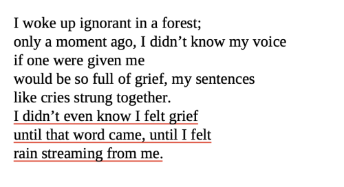 weltenwellen:Louise Glück, from “Trillium”, Poems 1962-2012[image text: I woke up ignorant in a fore