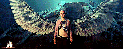 lost girl tumblr lost girl tumblr