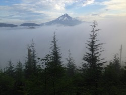 theoregonscout:  My Mt. Hood (as I used to