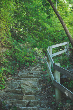 midsxmmer:  Take the trail by Austin | Johnson on Flickr.