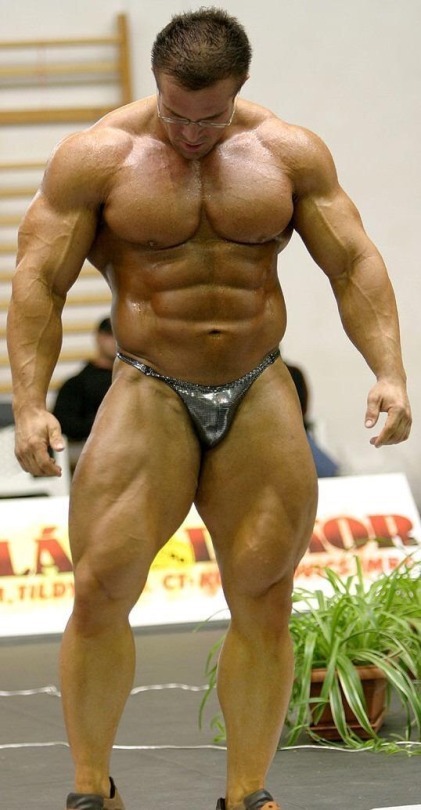 Bodybuilder Vpl