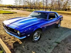 Muscle Cars Pics