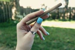 lil-misspuffit:  lemme roll you one