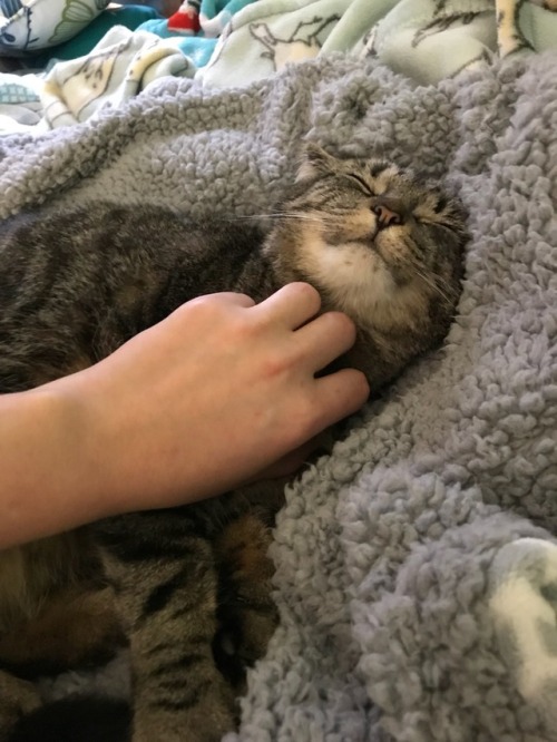 Always so happy.