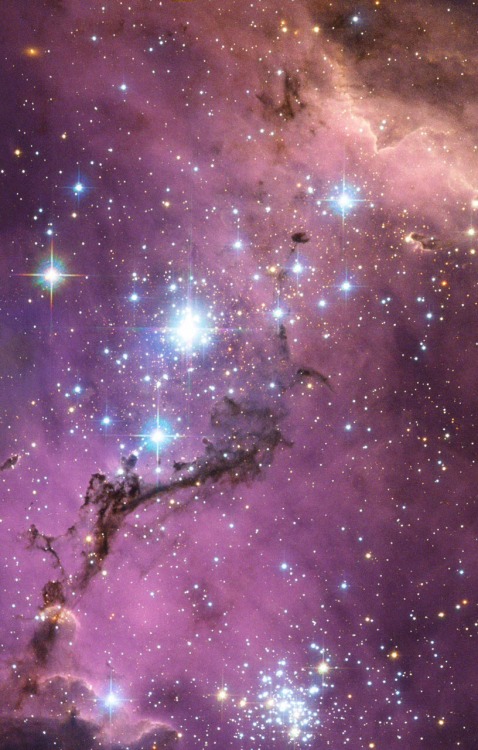 thedemon-hauntedworld:LHA 120-N11 in the Large Magellanic CloudNearly 200 000 light-years from 