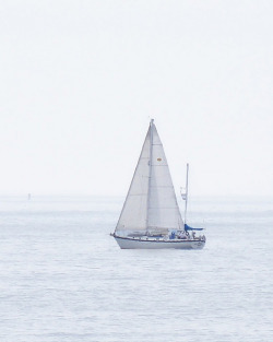 oceanux:  Sail Away by Sam T (samm4mrox)