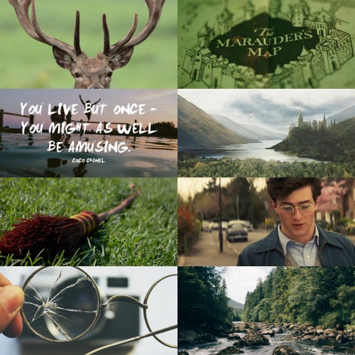 alloftheimaginesblog:HP Aesthetics: James Potter“No, I think you’re like James,” said Lupin, “who wo