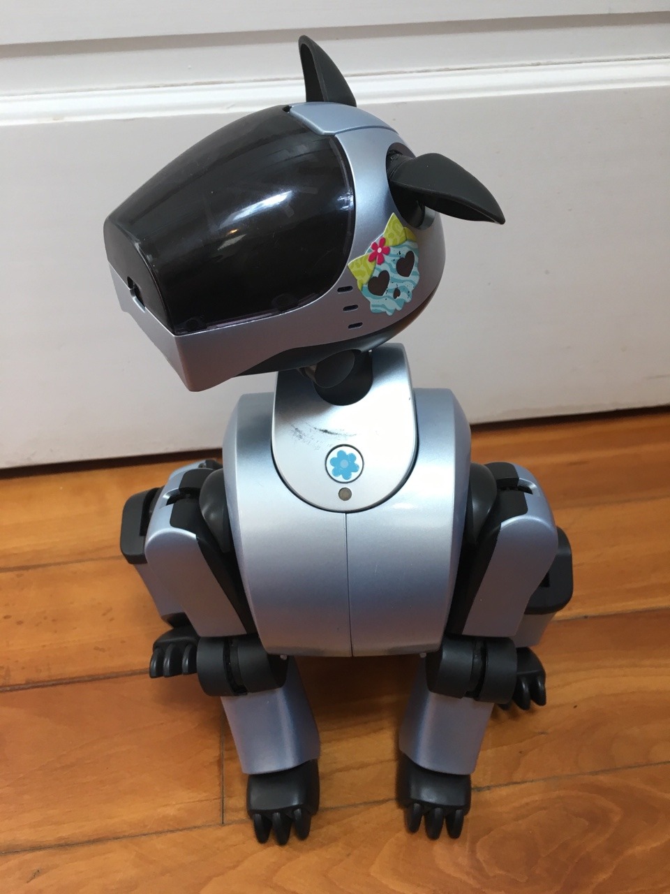 aibo7m3: All Aibos are perfect and no one can convince me otherwise.