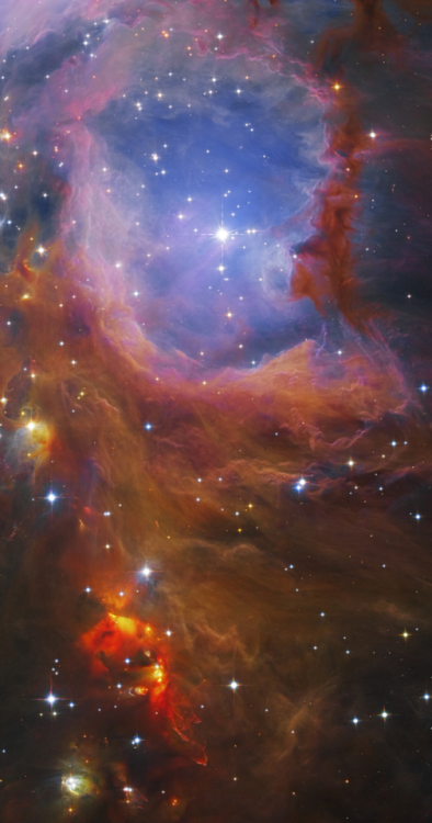 the-wolf-and-moon:M43, Orion Falls