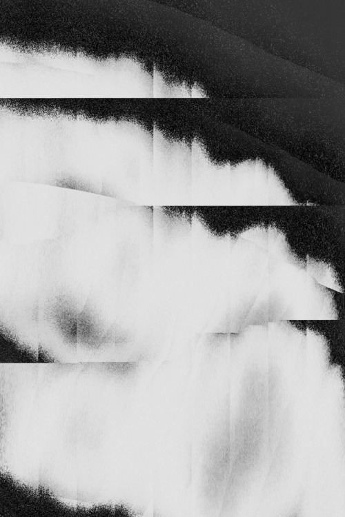 likeafieldmouse:  Tom Pregiato