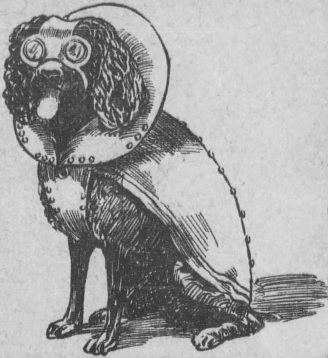 yesterdaysprint: Los Angeles Herald, California, December 20, 1908