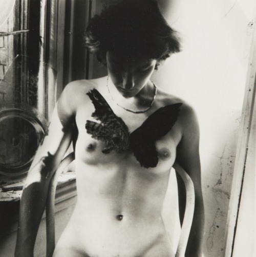 fernsandmoss:Francesca Woodman, Untitled, Providence Rhode Island (Liza with Bird), 1976-77