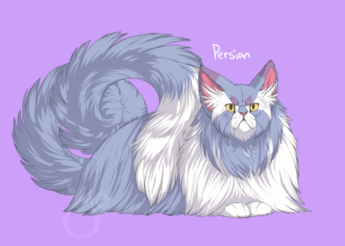 nationalpokedex:cheeziesart:since everyone’s doing it, here’s some variations on Purugly. I’ve never loved this dumb cat more than I do now. Purugly needs all the love.please do not repost or redistribute on other websites.I love this new trend!!!