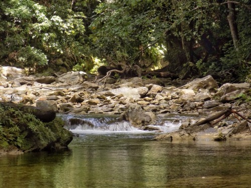 theeyeoftroy: Further up the river at Mermaid Pool, Matura, Trinidad. Copyright 2017 Troy De Chi.