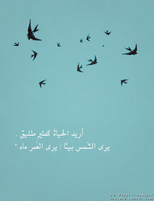 تركي الفيصل التميمي