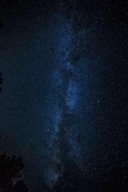 pikxchu:  Milky Way from Vermont | by coastalcreature 