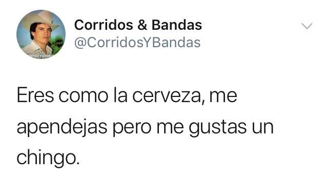 silverm14:  La perra net cabrona