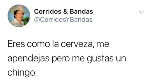 silverm14:  La perra net cabrona