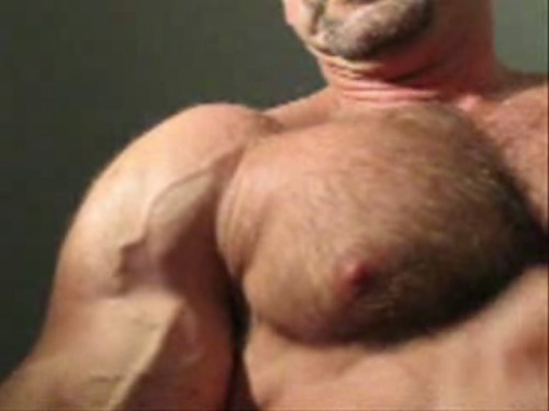 gymbear:  Germanbuilder 