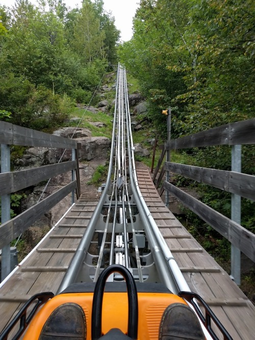 Family outting off the homestead! We road the alpine coaster at Spirit Mountain and it was super fun