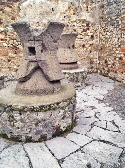 blissfulblacksheep: 30-12-2013 Today’s explorations included Pompeii and Herculaneum. These we