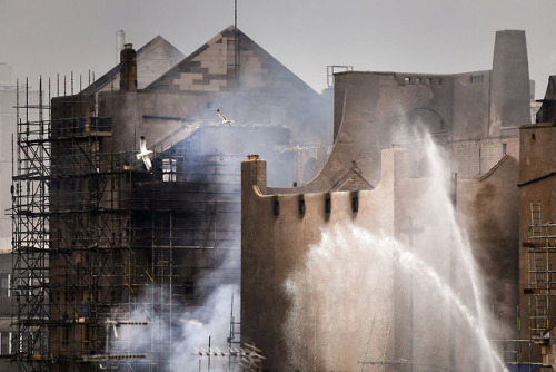 speciesbarocus - Firefighters attend to a blaze at the Mackintosh...
