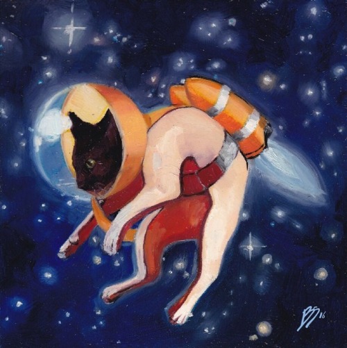 spacecats