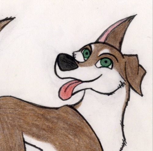 Fanya In Cartoon Saloon And Disney Styles