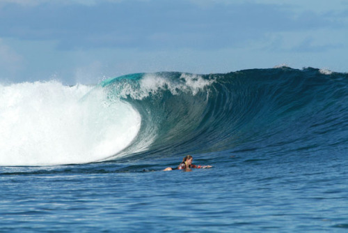 surfandbefree.tumblr.com Carolina Ferreira