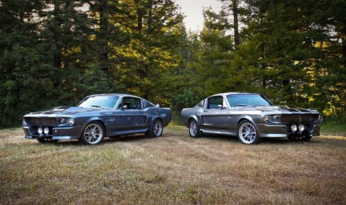 Porn Ford Mustangs photos