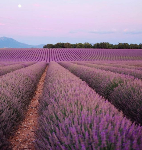 chanelbagsandcigarettedrags:Provence-Alpes-Cote d’Azur, France