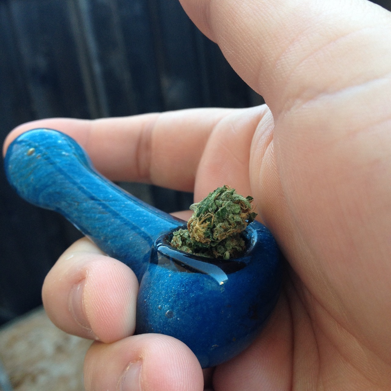 Thin Mint Cookies (Mixture of Cookies and Train Wreck)