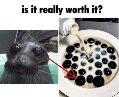 Today's Seal Is: Ethical Dilemma