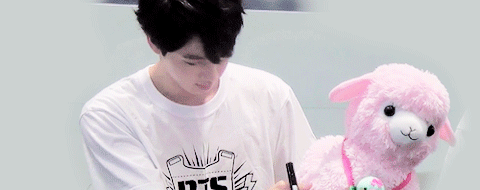 taekookie-bts:  Jin and the pink sheep  