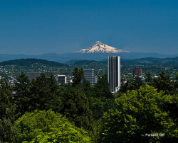 vegasbondage:  Vancouver Washington :Arguably