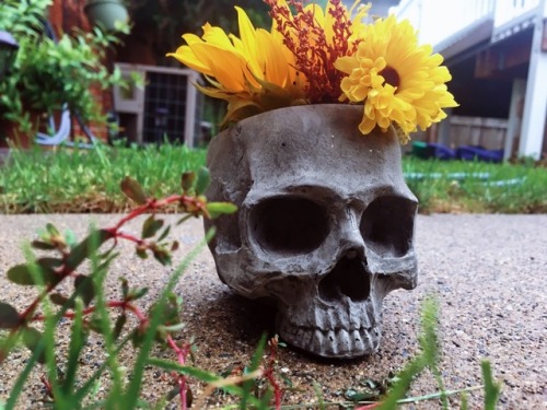 So I’ve stared up an Etsy!Made some cool cement skull planter and candle holder!! Check it out! ht