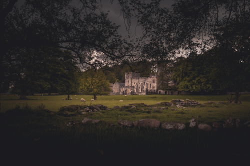 freddie-photography:  This is NorthumberlandFrom the mystery of countless castles, to the forests stradling barren moors, this is the hidden beauty of the county of Northumberland, England.By Freddie Ardley PhotographyWebsite | Facebook | Instagram |