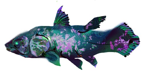 frozensoba:  a buncha fishies i drew on heavypaint