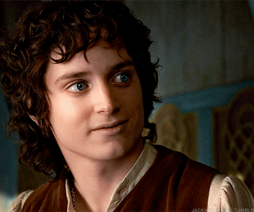 THE LORD OF THE RINGS: THE FELLOWSHIP OF THE RING (2001)