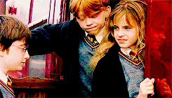leiaorrgana:  Harry hadn’t counted on this; he had meant them to understand that