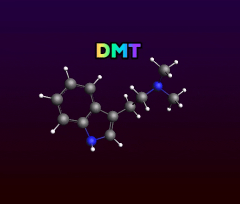 The Pineal Glad And Production Of DMT Inside The Body.