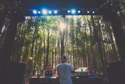 iwillreignite:higherstateofmind:jennicamaephoto:Kygo / Electric Forest 2014  I can’t wait for June you guys 😆😍  holy shit, i didn’t realise how perfect the forest scenery was for electric forest… dumb thing to say i know but srs, this looks
