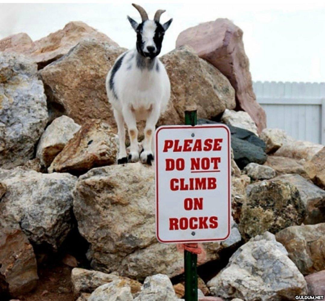 PLEASE DO NOT CLIMB ON...