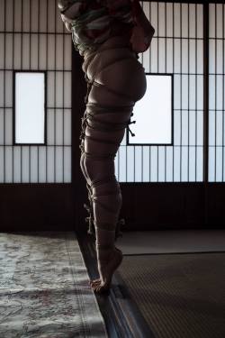 thevertigonetwork:Shibari:Naka AkiraModel:Kasumi HouraiPhoto:Erisa Sato